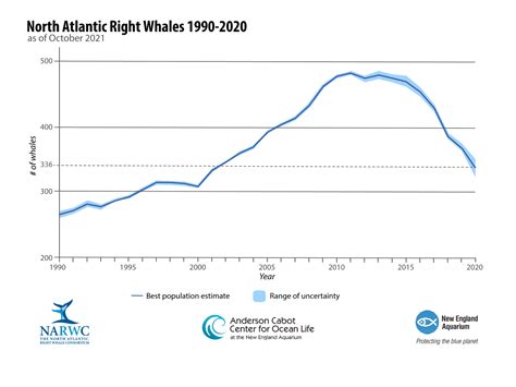 the population of whales